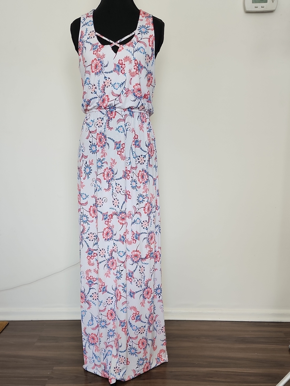 Trixxi Pink & Blue Floral Maxi Dress